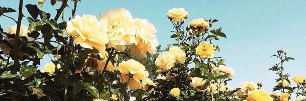 ambxm's profile banner image