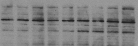 biotop banner