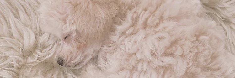 pink_o57's profile banner image