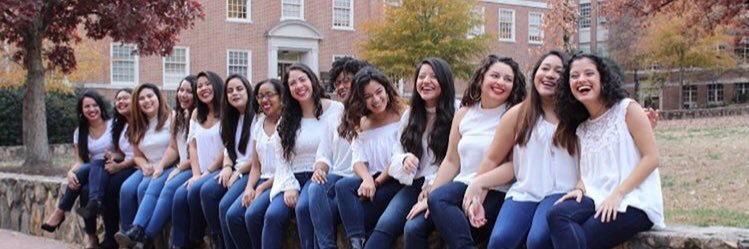 UNC Lambda Pi Chi banner