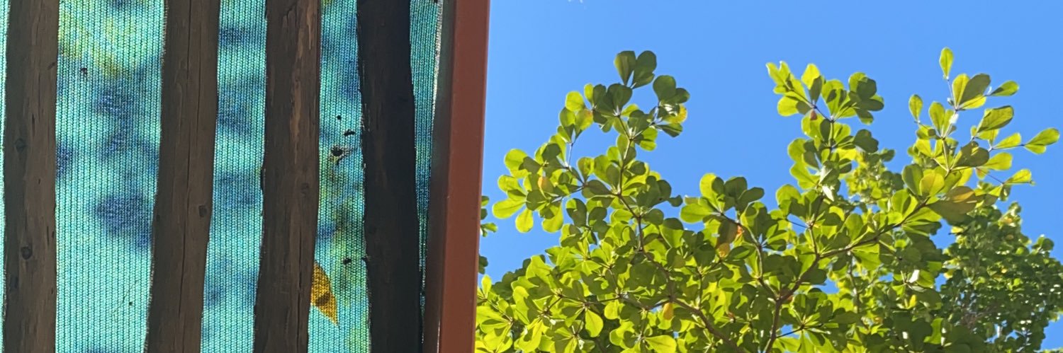 theomd11's profile banner image