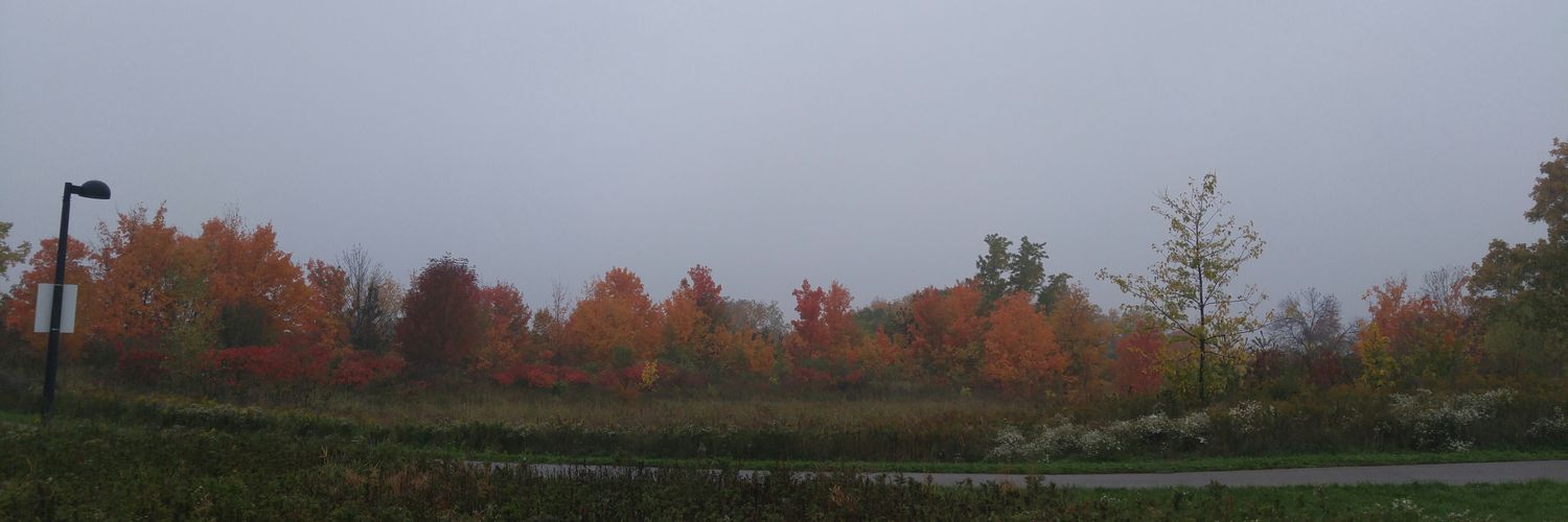 Chantel Poulin banner