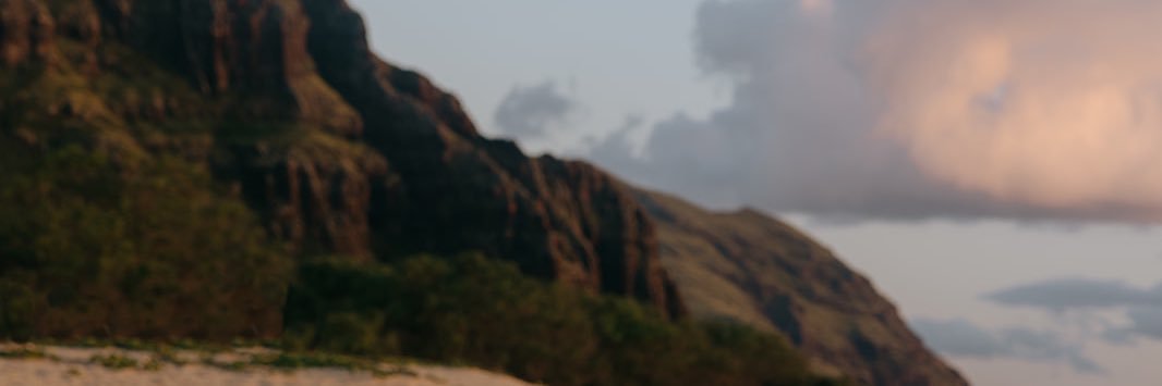 alexisterraa's profile banner image