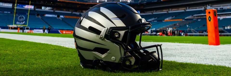 William Padberg banner