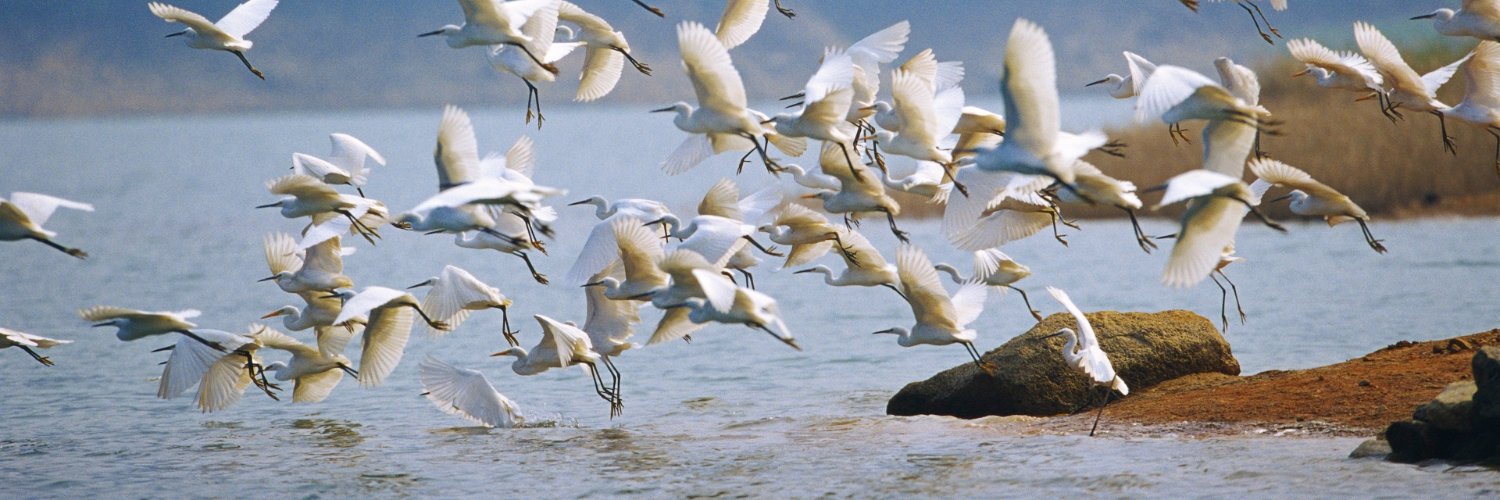 Wetlands International Eastern Africa's banner
