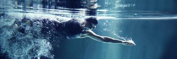 CKingfishers Profile Banner