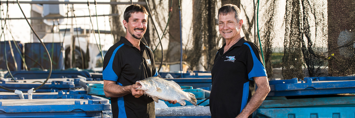 Humpty Doo Barramundi banner
