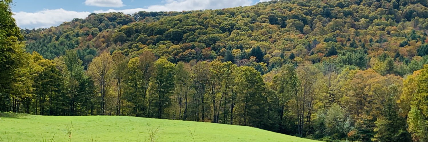 paulinhouse's profile banner image