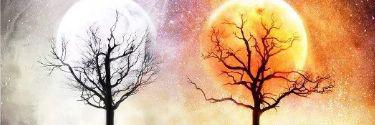 QueenofNumenor's profile banner image