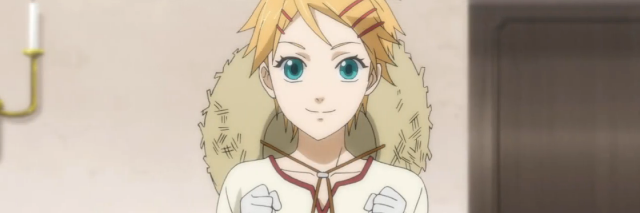 Finnian banner