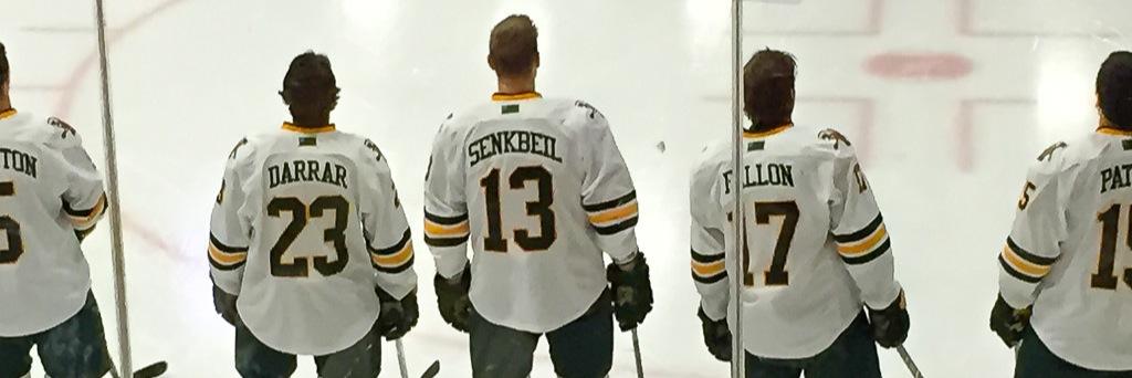 D_Senkbeil's profile banner image