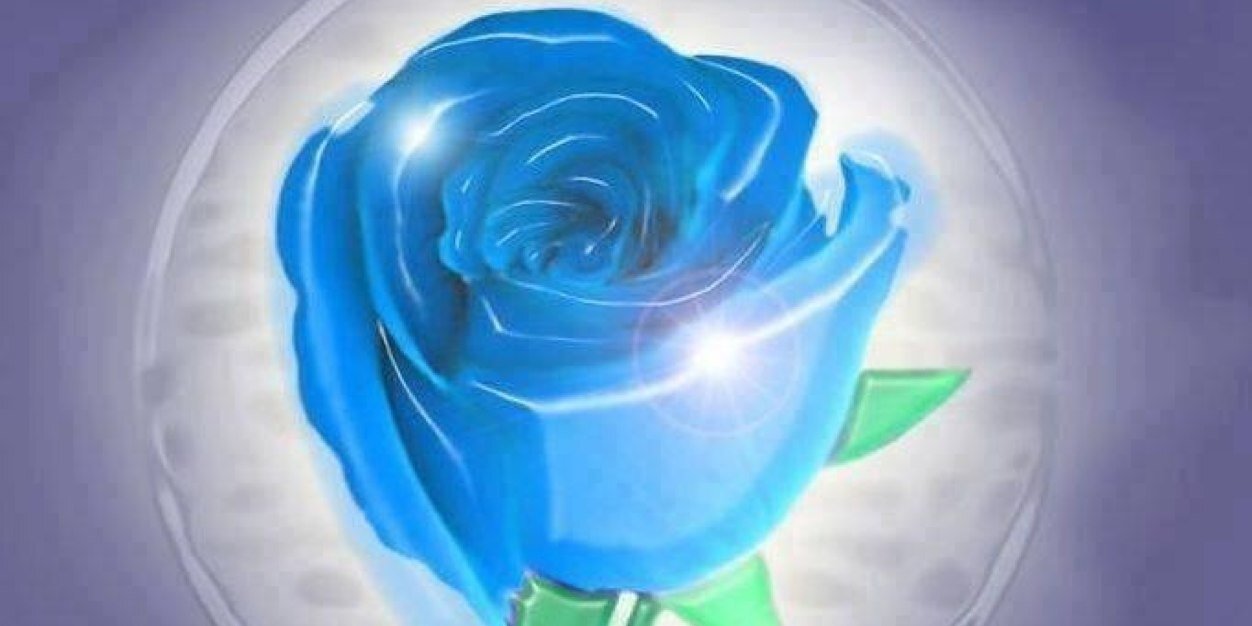 DIAMONIQUE24's profile banner image