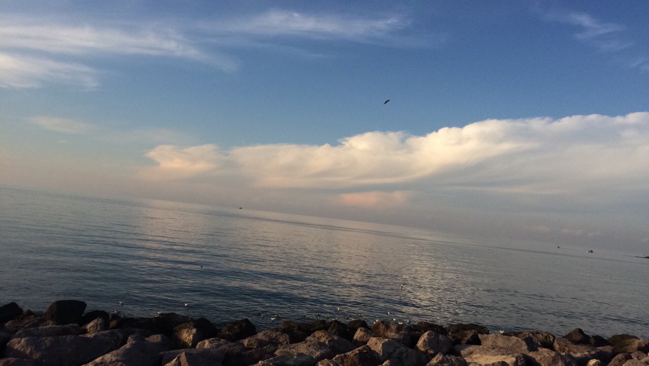 1sedanyr's profile banner image