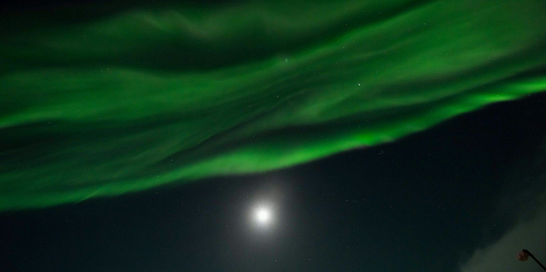 Ellen Hegarty 💙💛 banner