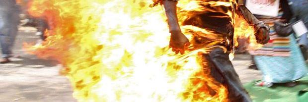 Saiko_Rex's profile banner image