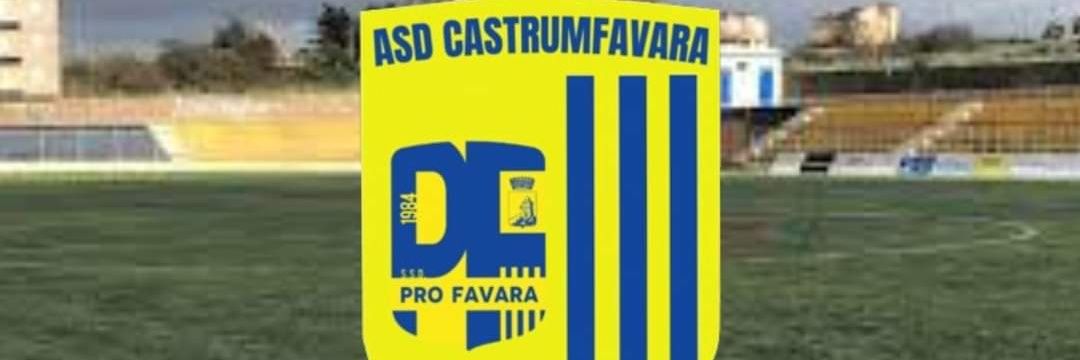 ssdprofavara's profile banner image