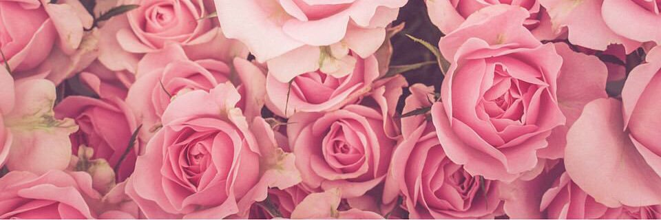 tgak0717's profile banner image