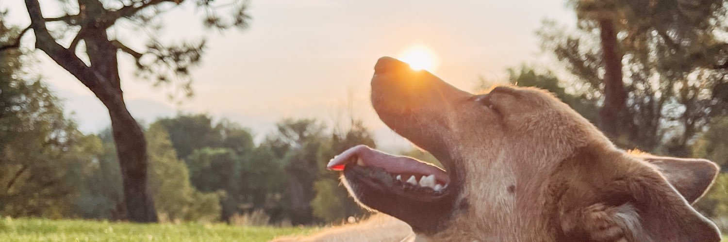 HaleyLagrill's profile banner image