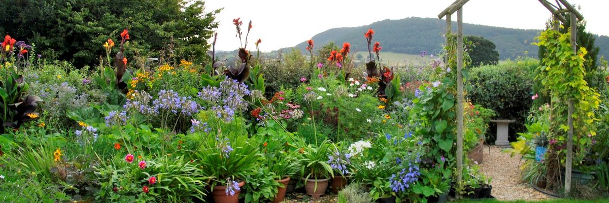 wigmoregarden's profile banner image