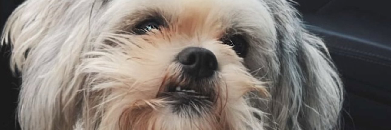 mirrrranda1's profile banner image