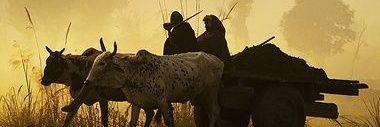 Bhartrib's profile banner image