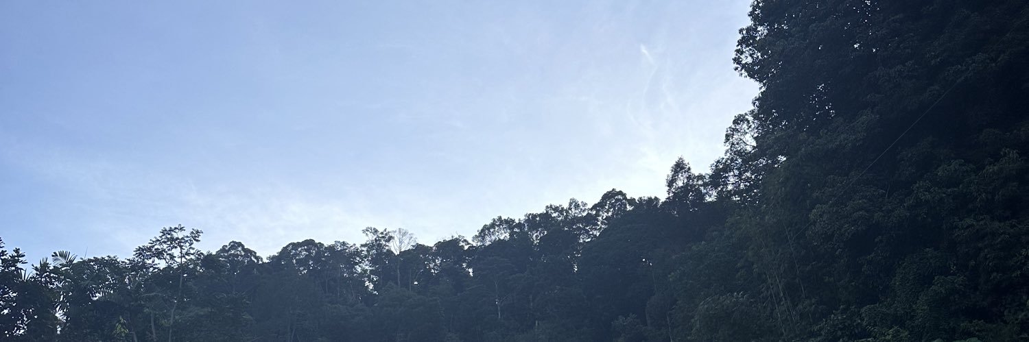 razieques's profile banner image