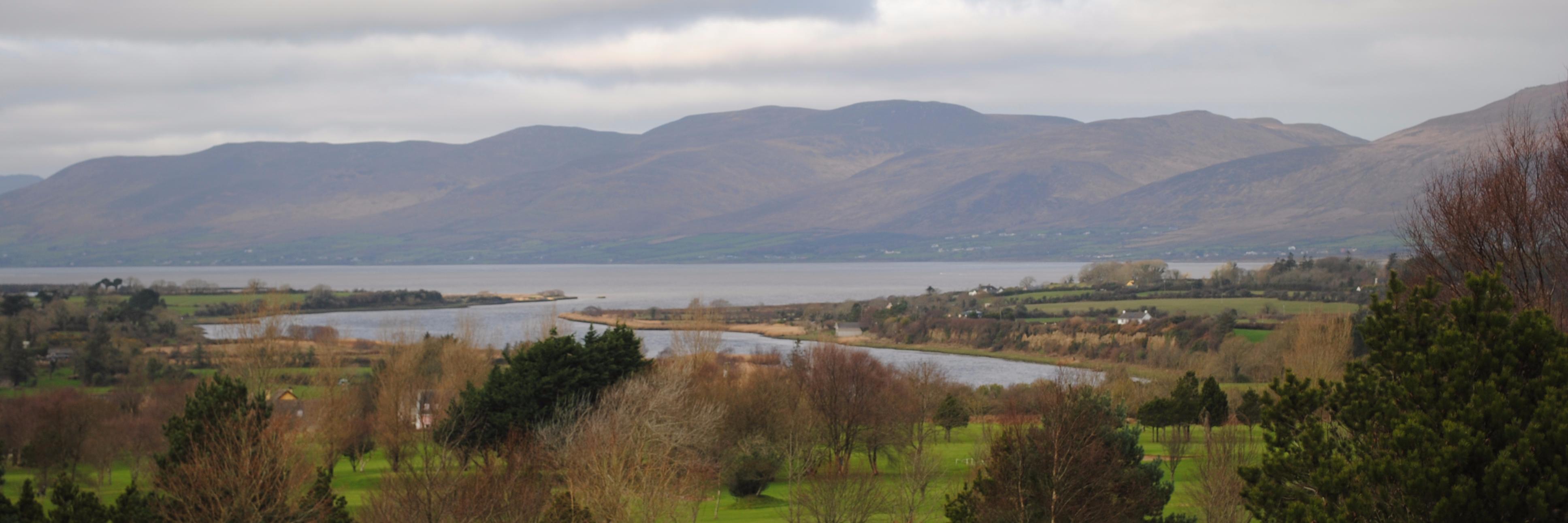 Morrison Tours - The Mountain Guy banner