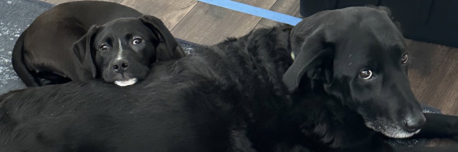 danny_pace's profile banner image