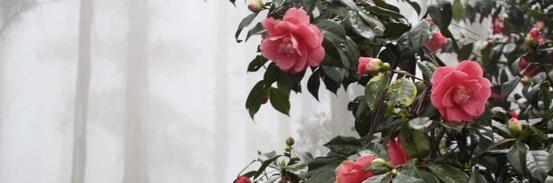 miaaammm's profile banner image