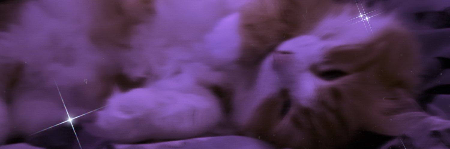 sarah banner