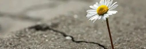 عبدالله البعيّز banner