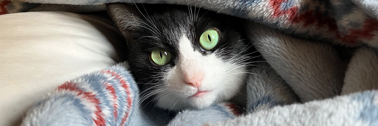 エスパー渡辺 banner