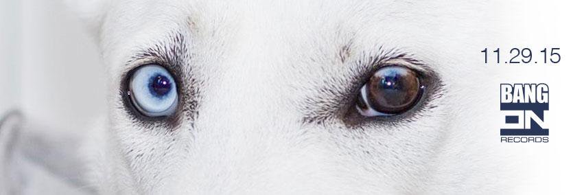 bangonrec's profile banner image