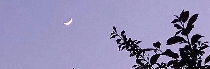 ryoasu1407's profile banner image