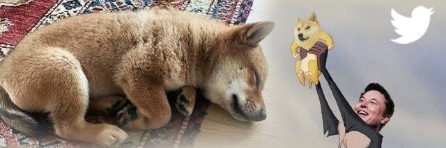 BabyFloki Inu banner