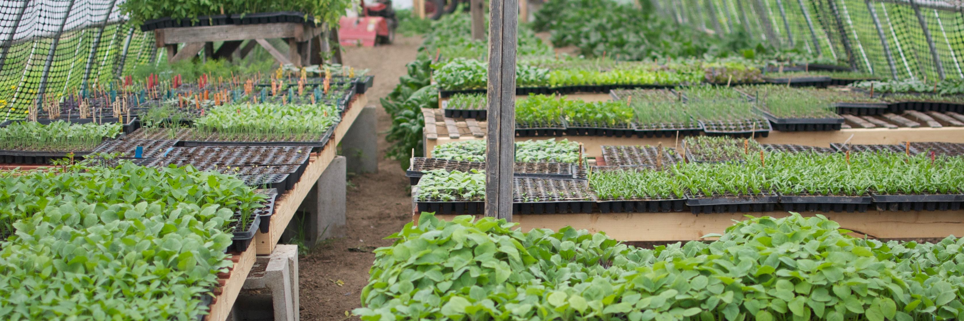 BrandmooreFarm's profile banner image