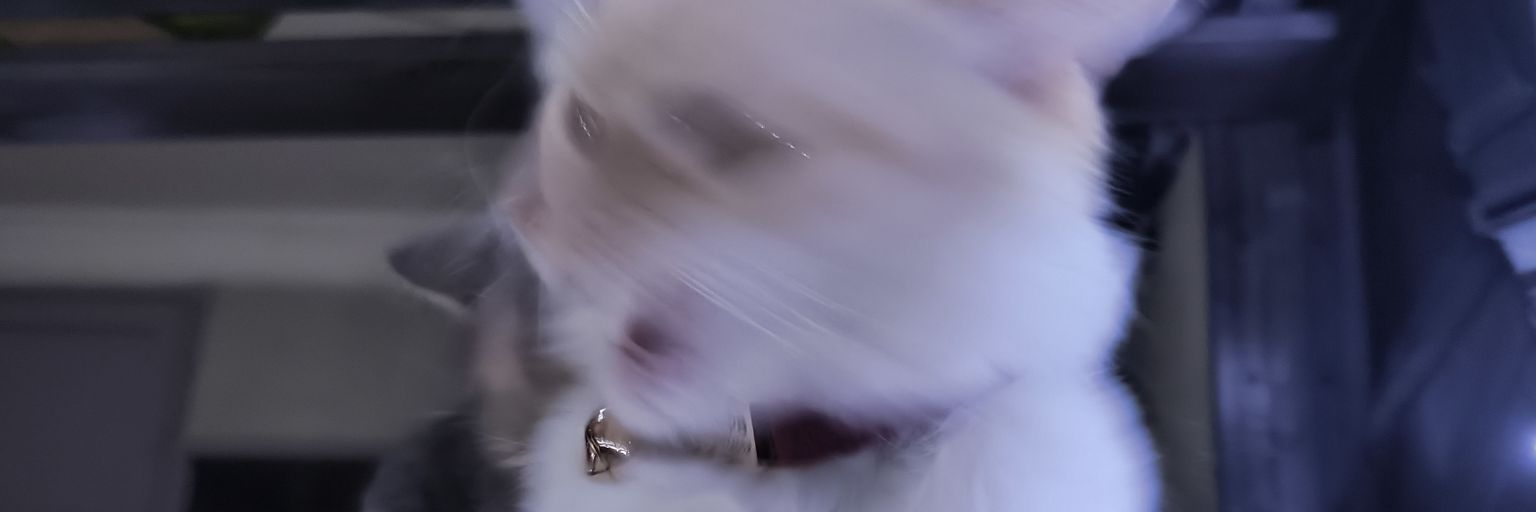 _mon__san_'s profile banner image