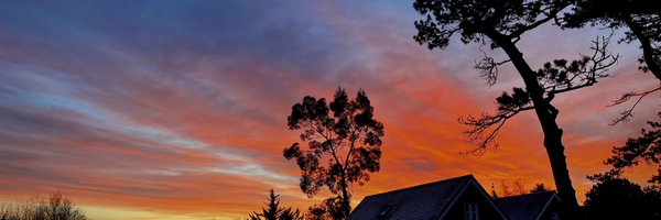 TobyTryTri Profile Banner