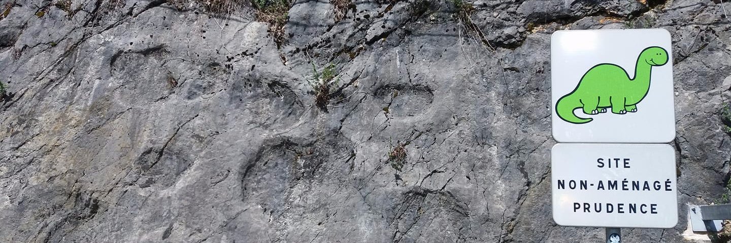 Annalisa Plaitano banner