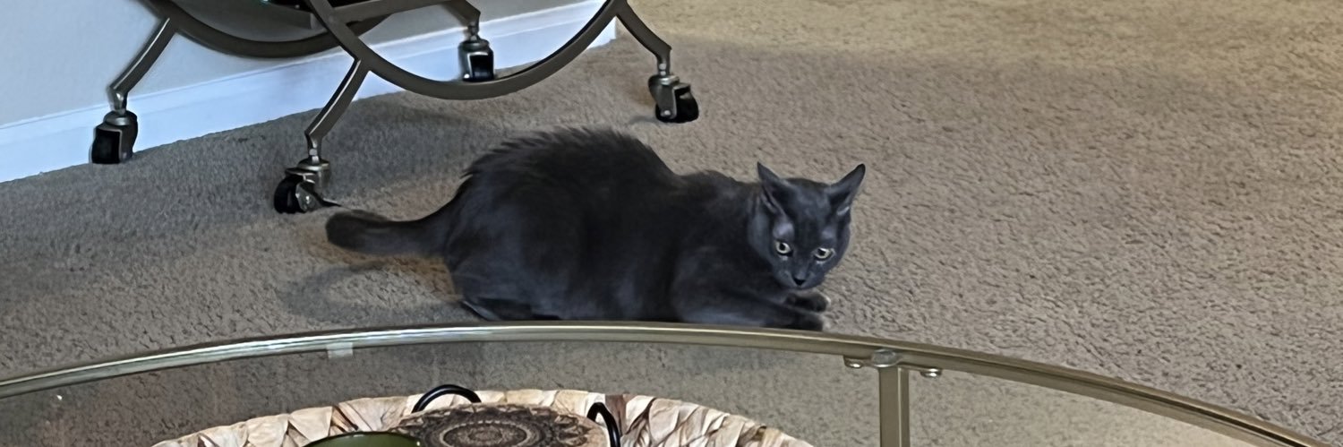 destinyheartt's profile banner image