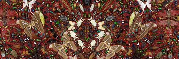 FM_LizH's profile banner image