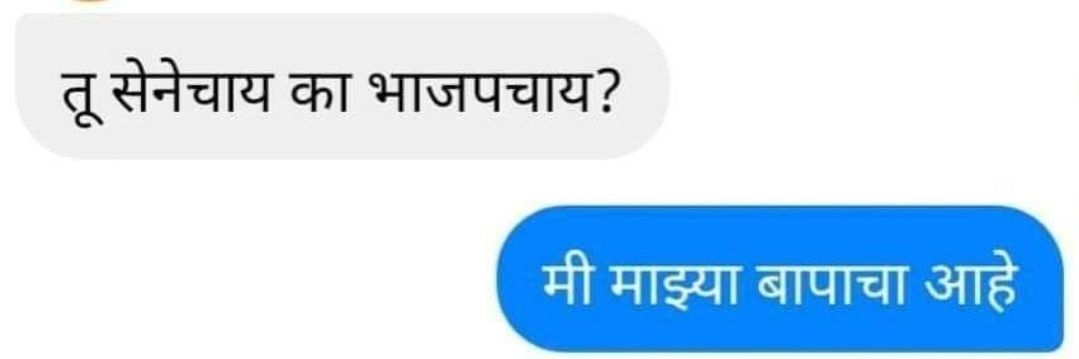 Lone Wolf 🦊 banner