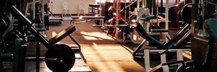rynohog's profile banner image