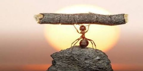 jas__karan__'s profile banner image