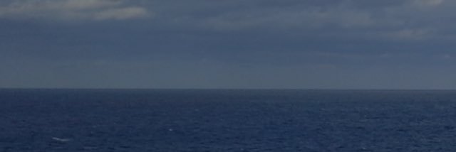 Dorothy Clark banner