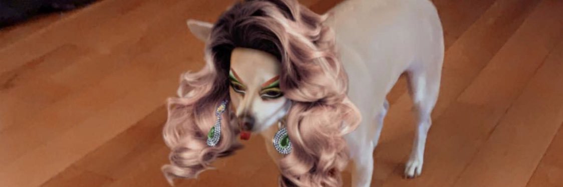 hayleehammond's profile banner image