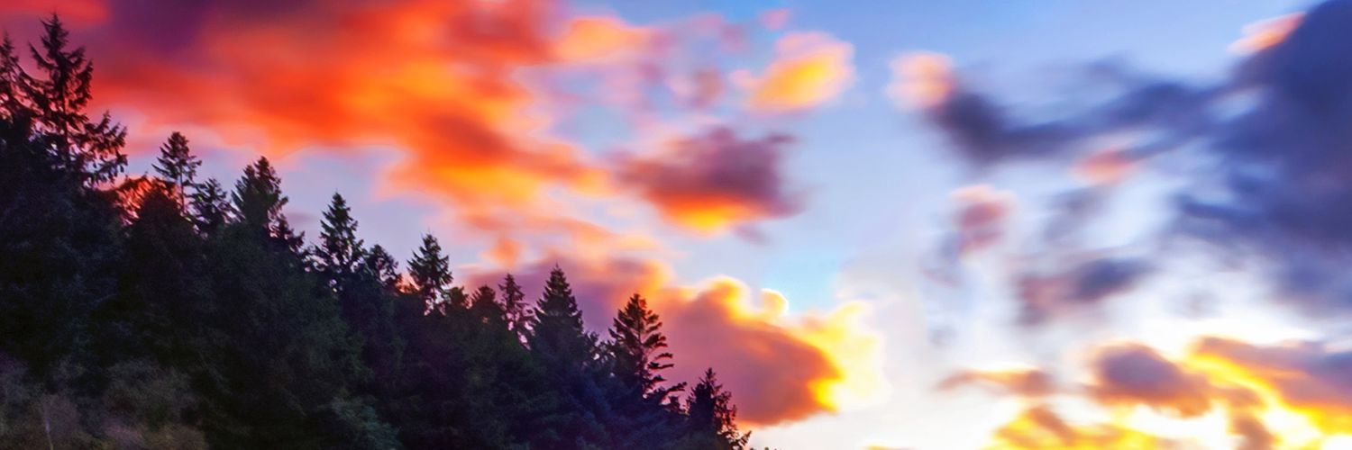 kujira505's profile banner image