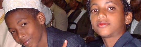 ankipwa's profile banner image