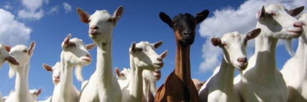 VRebyata Profile Banner