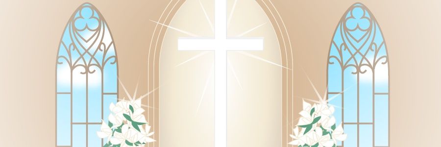 asia_moth's profile banner image